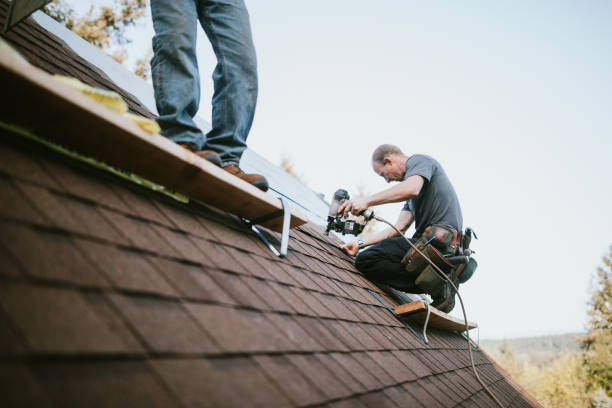 Best Storm Damage Roof Repair  in Gumlog, GA